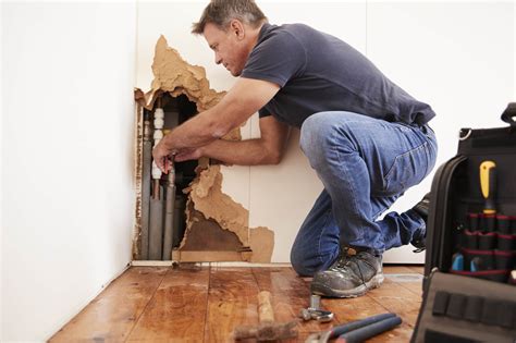 company for water damage