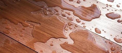 water damage floor repair cost